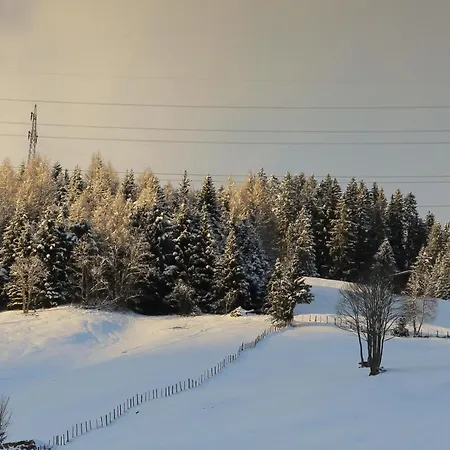 アパート Sonneck